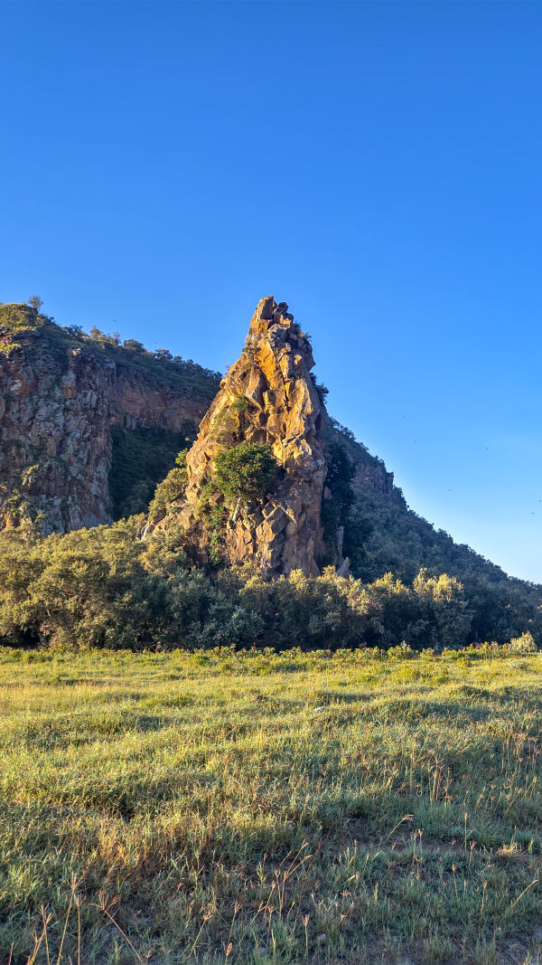 Kenya: Wild & Beyond