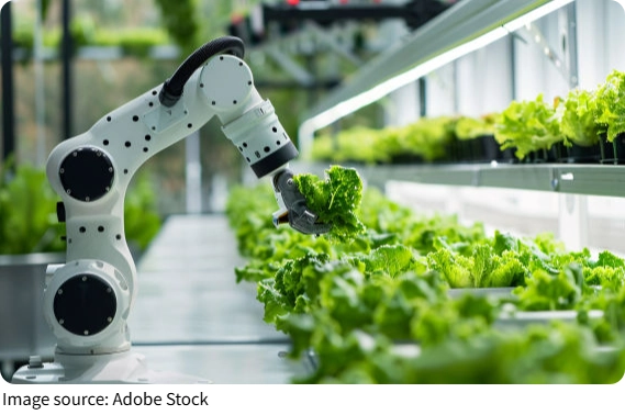 Puissance végétale