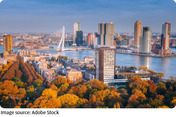 Rijn Sky