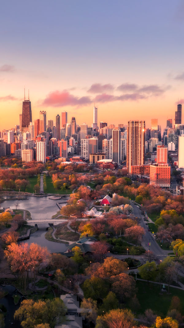 Lincoln Park Secrets