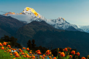 Annapurna sem segredos