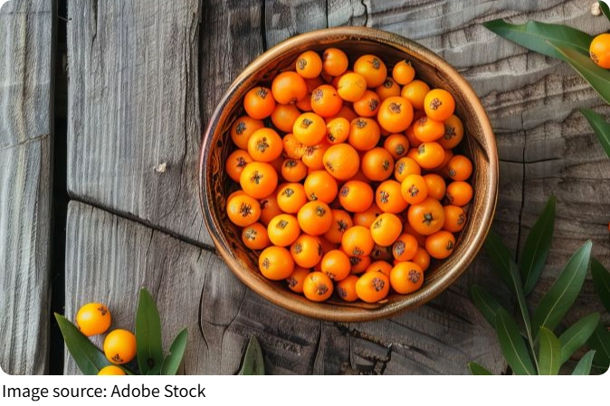 Magic of Sea Buckthorn