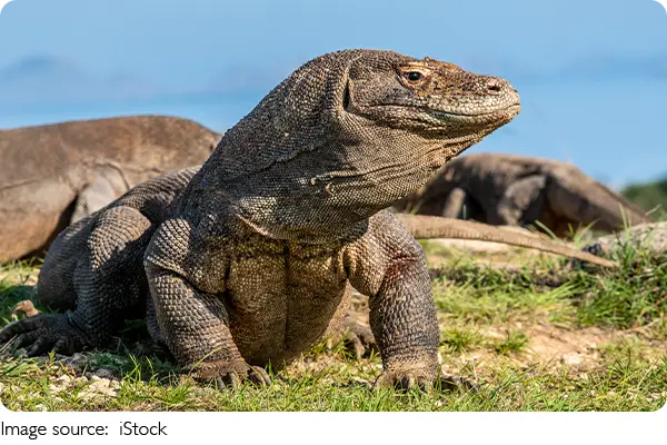 One Boat, One Paradise