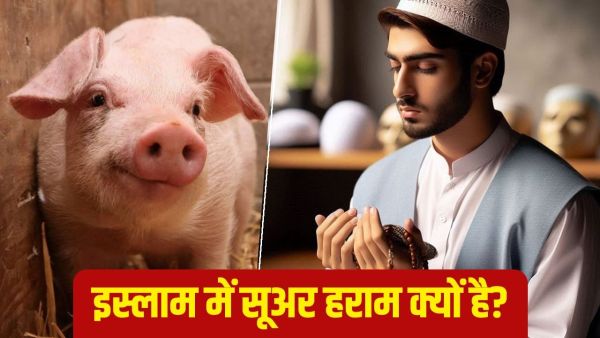 Pig in Islam: Why is a boar haram in Islam, is it even forbidden to take its name?