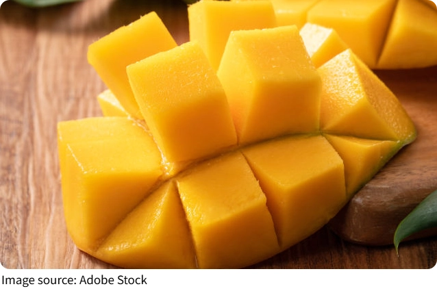 Puding Mangga Kelapa