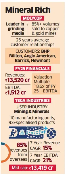 Midcap Tega Industries $1.5 bn Molycop buy Midcap Tega Industries $1.5 bn Molycop buy