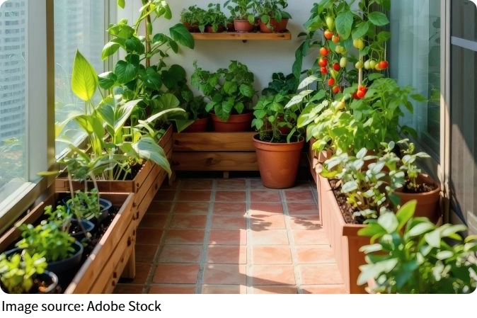 Le bonheur sur un balcon