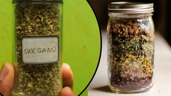 What is the difference between similar -looking origeno and mix herbs? Who enhances more taste of food