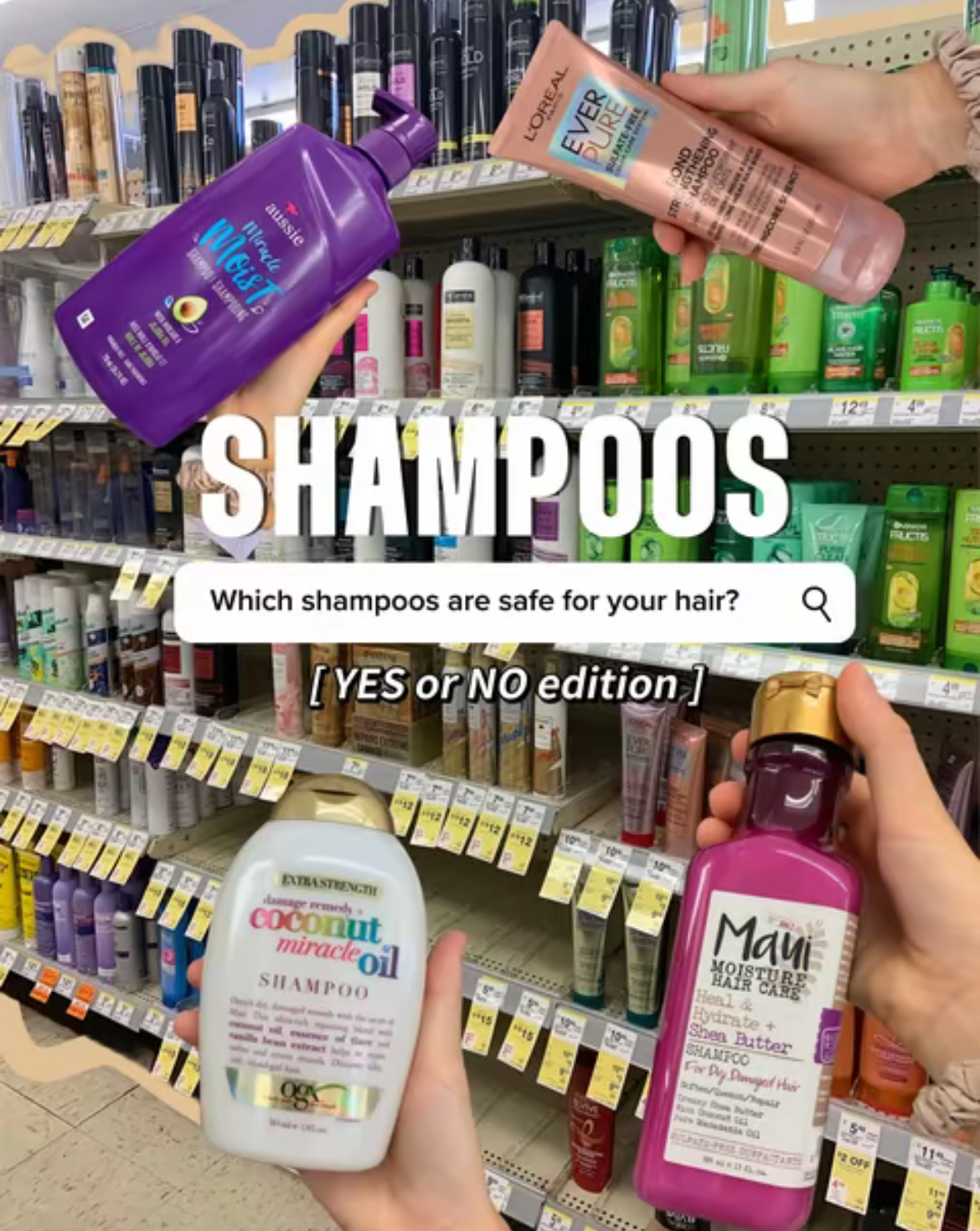 Shampoo Edition!