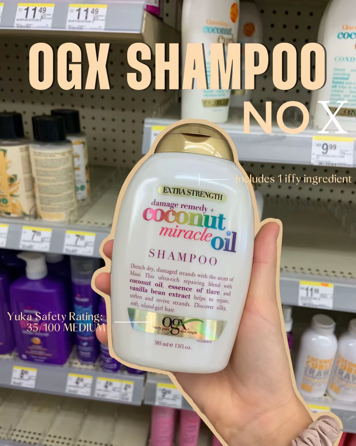 Shampoo Edition!