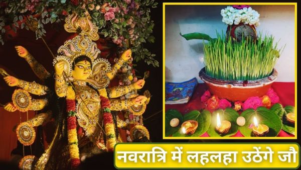 Shardiya Navratri 2025: Barley will rise in Navratri, know how to sow and care tips