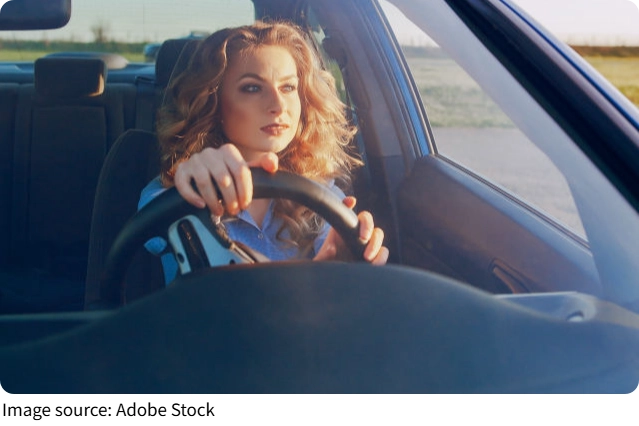 Windshield Wiper Care