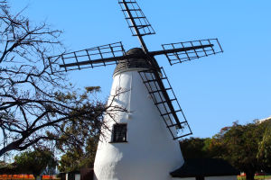 Perth's Local Treasures