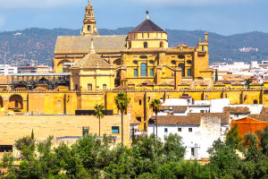 Mezquita Magic Guide