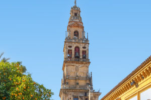 Sunny Córdoba Seasons