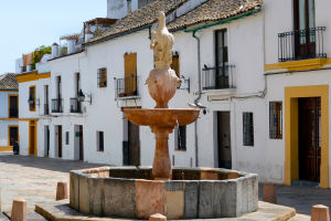 Córdoba Customs Guide