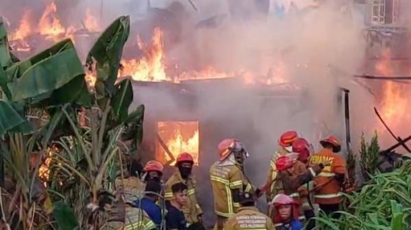 Sijago merah kembali menghanguskan 11