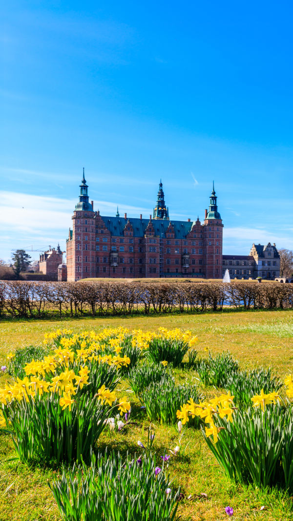 Royal Castle View