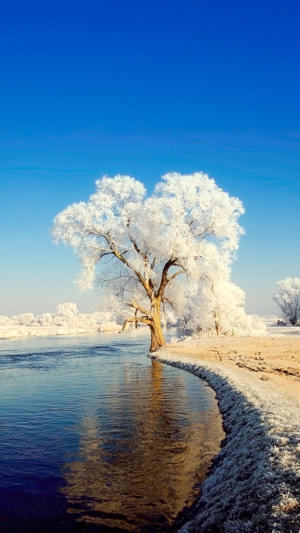 Winter on the Havel