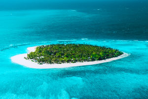 Family Island Picks!