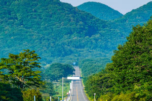 One-Eyed Dream Guardian