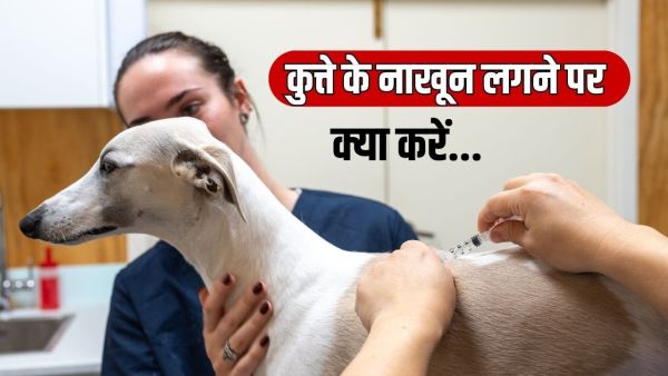 Can a dog also cause rabies? Understand the doctor