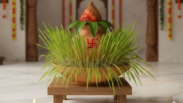 Jau after Navratri: What should be done with barley grown after Navratri?