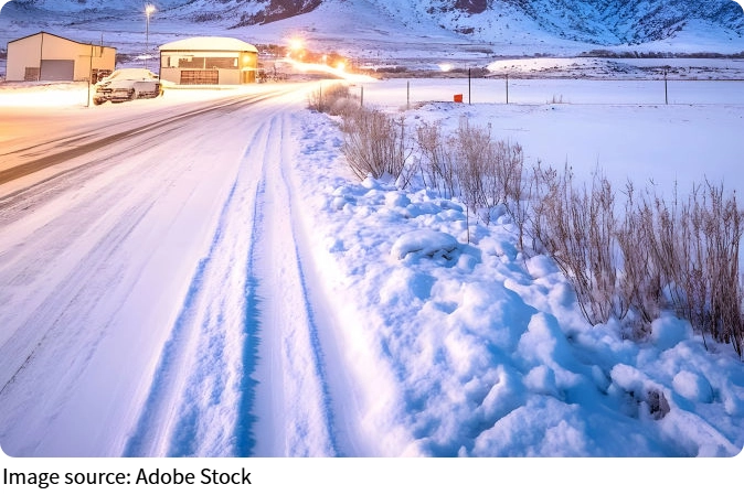 Winter Snow Secrets