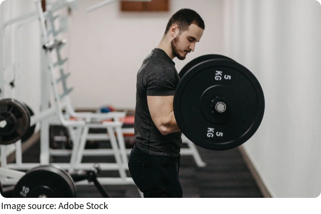 Cuerpo en Equilibrio