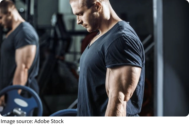 Ejercicios de Fuerza