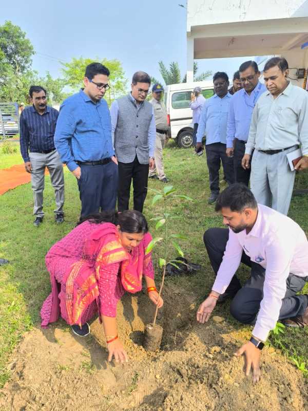 Divisional Commissioner Planting Plantation as part of a tree mother's name