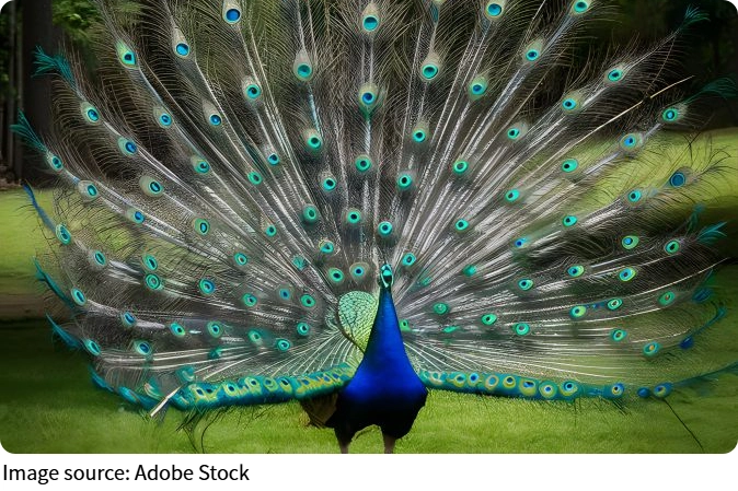 Зов дикого Яла