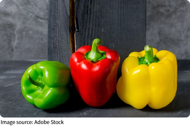 Sabores da estação!