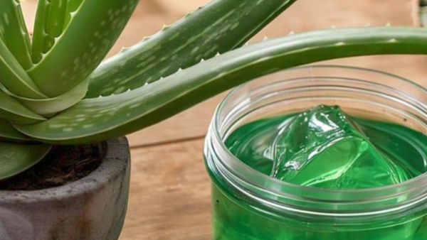 Aloe vera gel