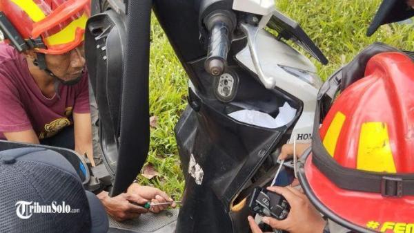 20251001_seekor ular kobra berbisa