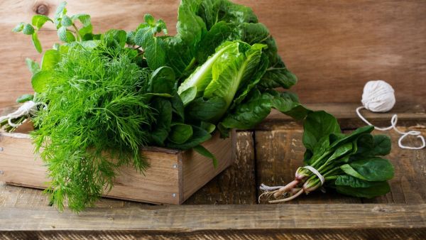 Those 5 greens in which are the most nutrients and health, these benefits