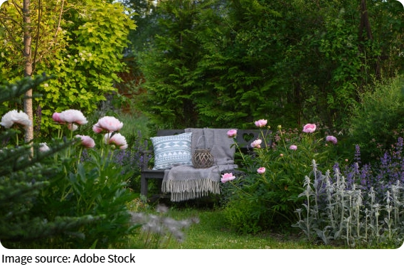 Wild Haven
