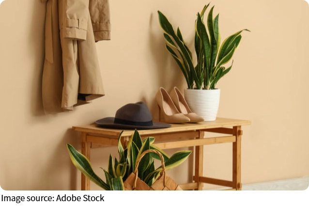 Liều thuốc cho tâm hồn