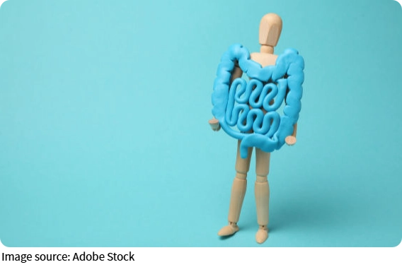 Hubungan Usus dan Mood