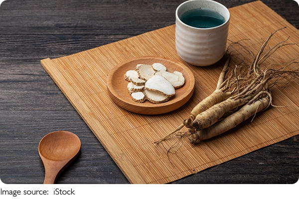 Akar Ginseng Indonesia