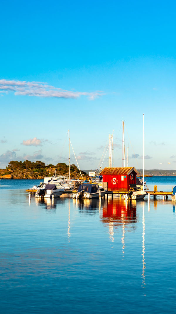 Harbor Days, Nordic Nights