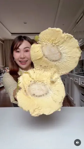 sukun Sibungbung makan sukun matang bertekstur lembut mirip es krim