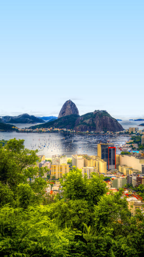 Rio: Essential Moves