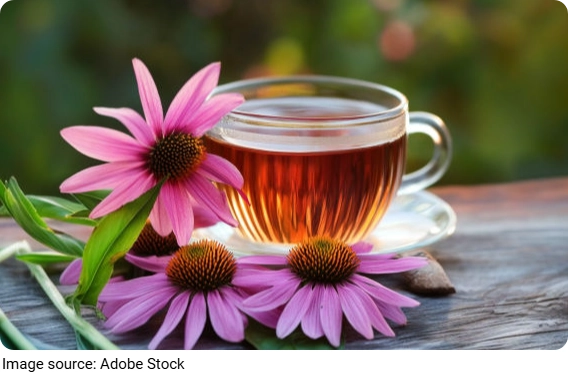 The Quiet Power of Tea