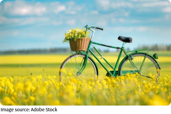 Smart Bicycle Care Guide