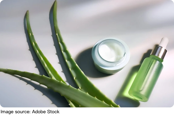 Aloe Vera Home Cure!
