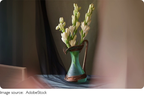 Растения, что чистят воздух