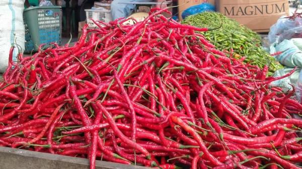 HARGA BAHAN POKOK - Tumpukan cabai merah di lapak pedagang Pasar Tradisional Blangpidie Kabupaten Aceh Barat Daya (Abdya). Per Jumat (10/10/2025) hari ini, harga cabai merah mencapai Rp 80 ribu hingga 90 ribu per kilogram.