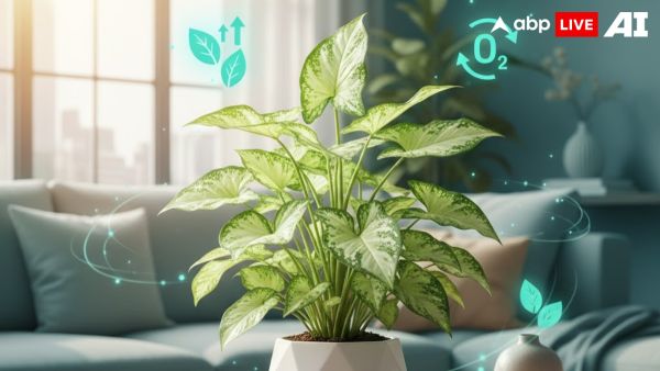 (Image Source: ABPLIVE AI)