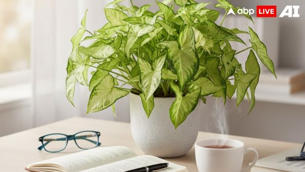 (Image Source: ABPLIVE AI)